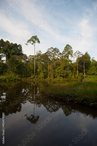 Maliau basin, rainforest in Borneo, Malaysia.