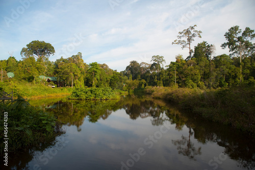Maliau basin  rainforest in Borneo  Malaysia.