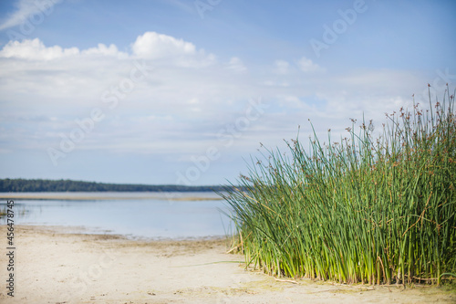 summer seascape on the baltic sea