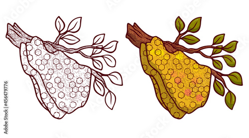 Honey hand drawn decorative icons with hive. Color and line isolated vector inl illustration