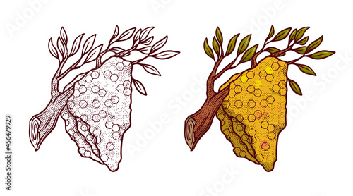 Honey hand drawn decorative icons with hive. Color and line isolated vector inl illustration photo