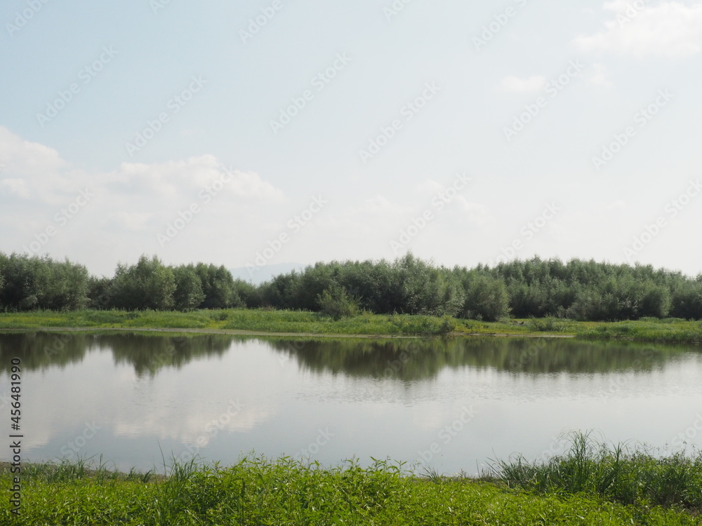 lake in the forest