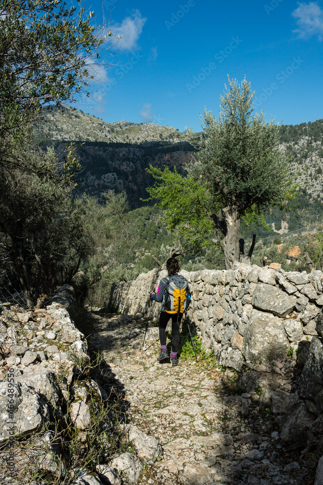 Obraz premium Portell de Sa Costa, Soller, parque natural sierra de Tramuntana, Mallorca, balearic islands, spain, europen