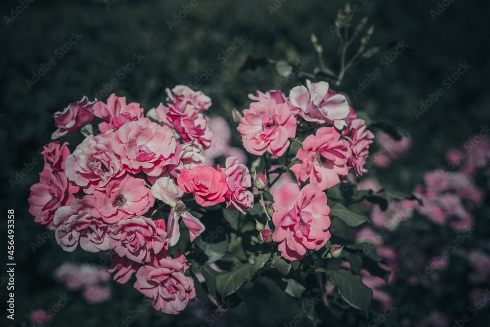 Still life flowers- background art Still life flowers- background art