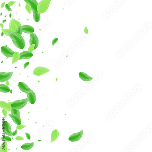 Green Foliage Background White Vector. Leaves Icon Design. Set Card. Greenish Pattern Frame. Leaf Border.