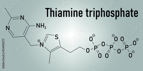 Thiamine triphosphate molecule. Skeletal formula.