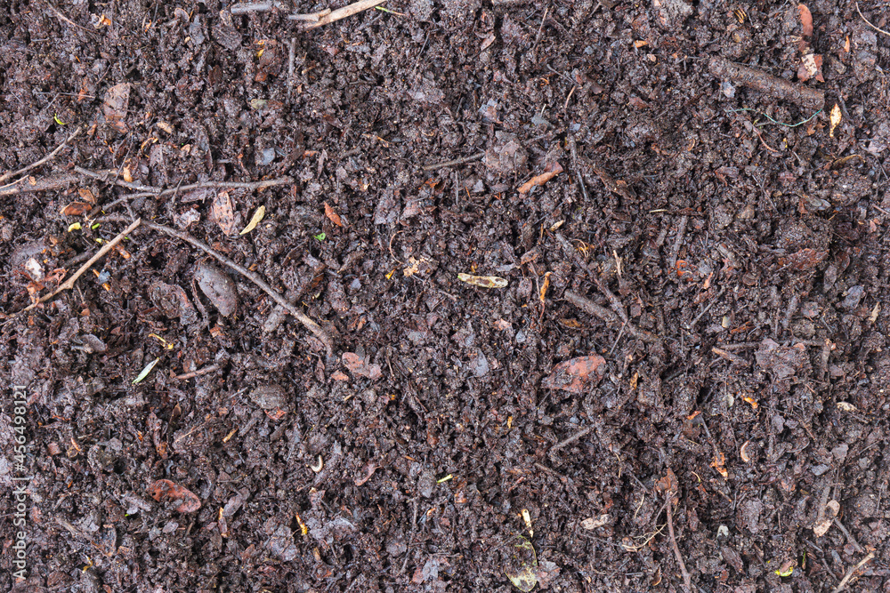 Leaves of the tamarind tree piled together for a long time to become the perfect natural fertiliser soil on the surface background.