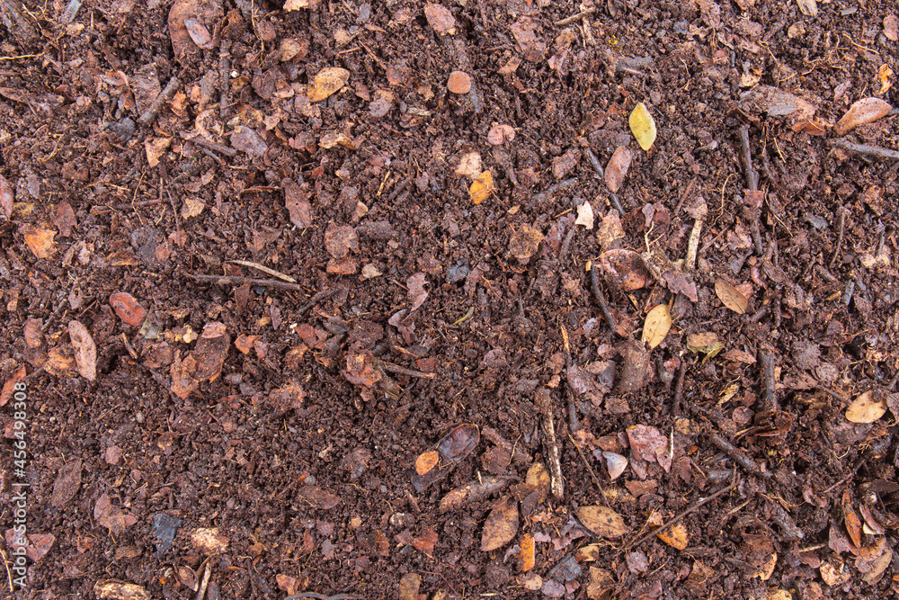 Textured leaves of the Chamchuri tree that have been piled up for a long time become the perfect natural fertiliser soil on the surface background. Textured leaves of the Chamchuri tree that have been piled up for a long time become the perfect natural fertiliser soil on the surface background.