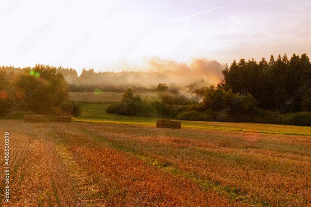Fototapeta premium landscape in the evening