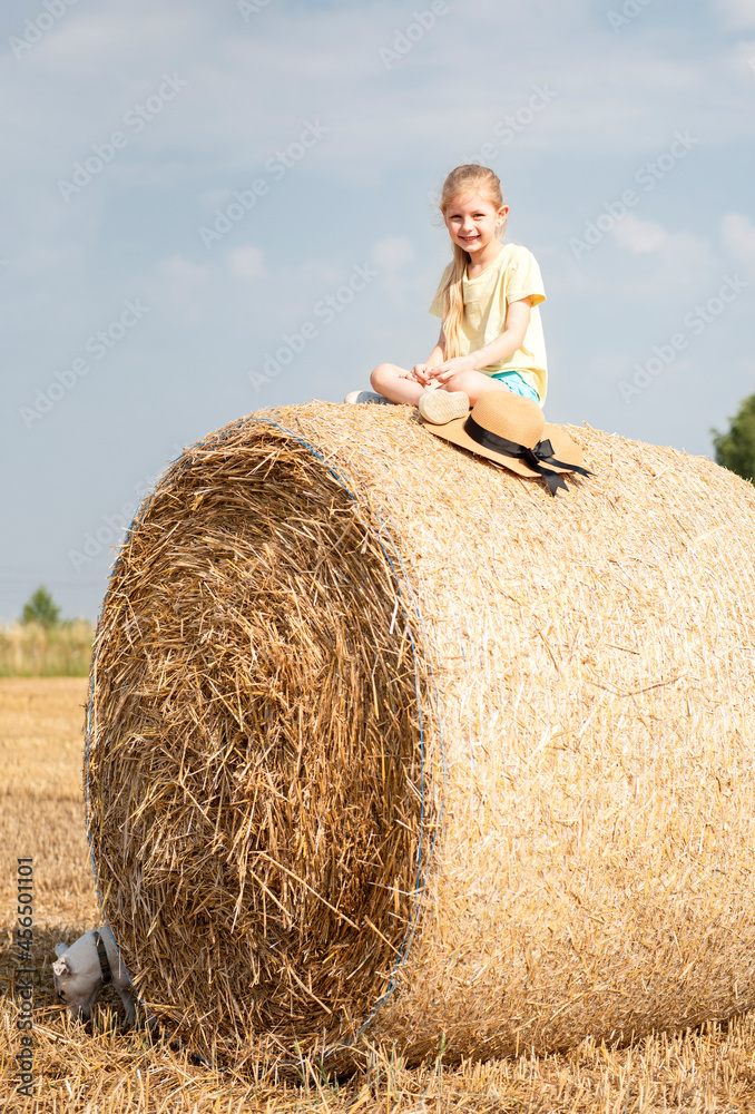 Little girl having fun in a wheat field on a summer day. Little girl having fun in a wheat field on a summer day.