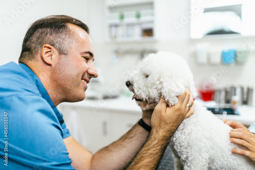 A vet examines a dog in his office.