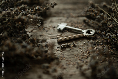 key on wood © Erika