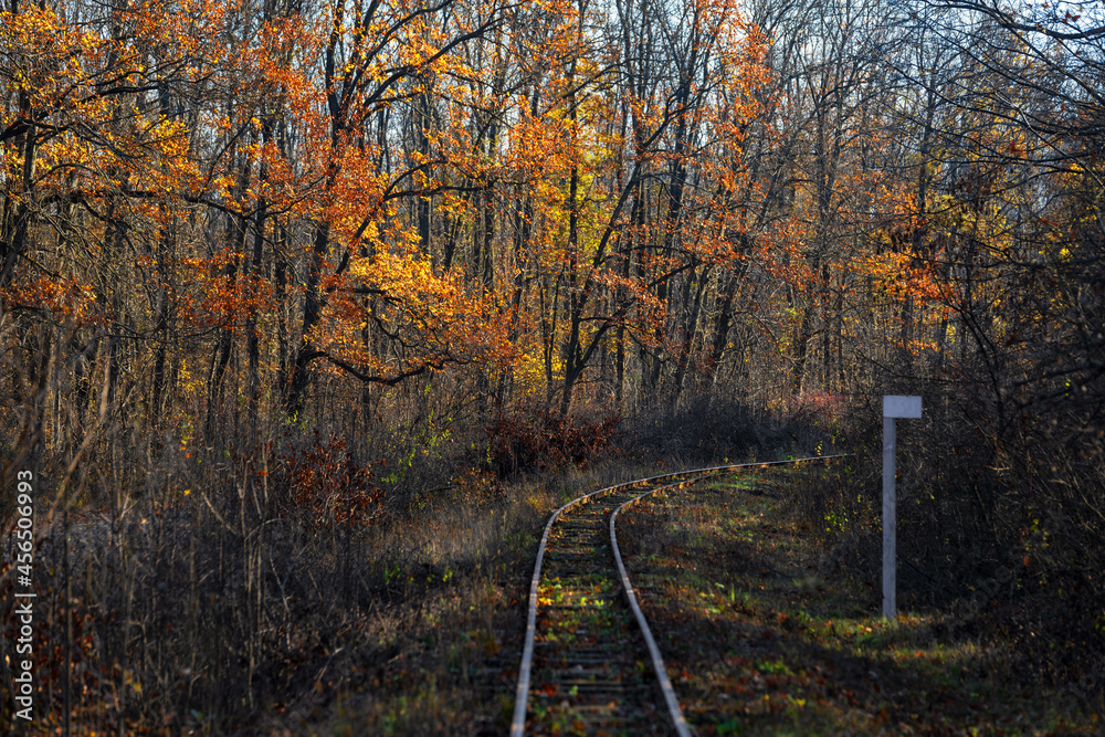 Empty autumn railway in the forest and mileage column