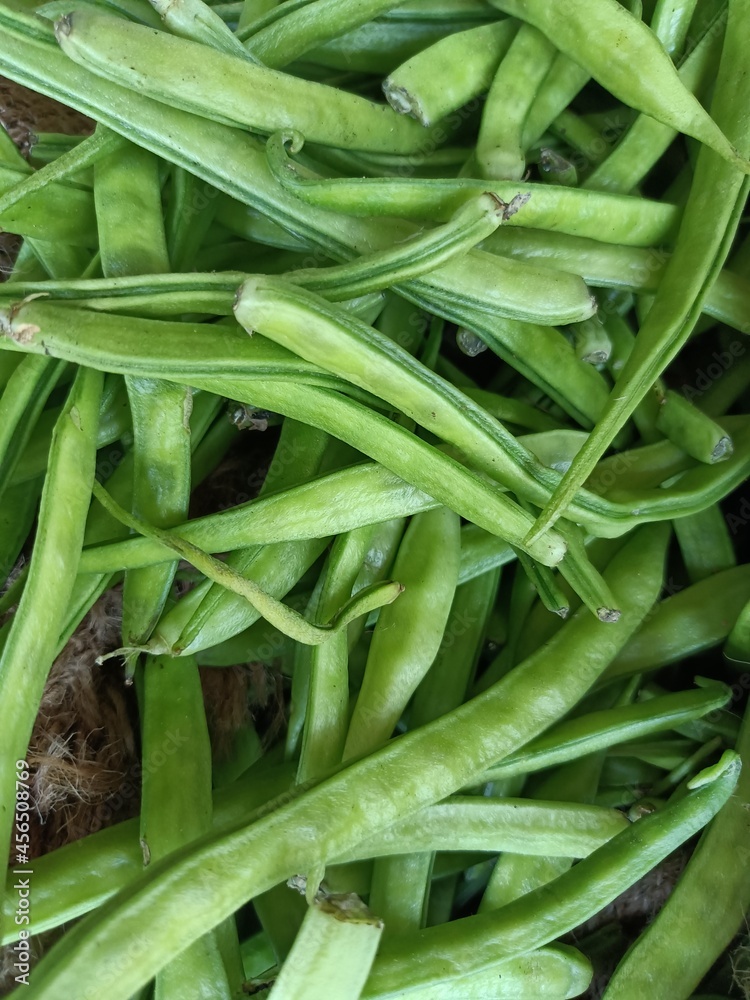 Beans with delicious and medicinal properties Beans with delicious and medicinal properties
