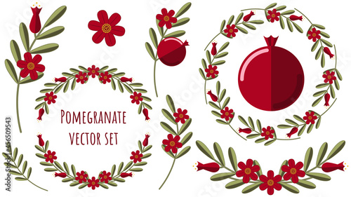 Pomegranate vector set template. Minimal floral ornament isolated.