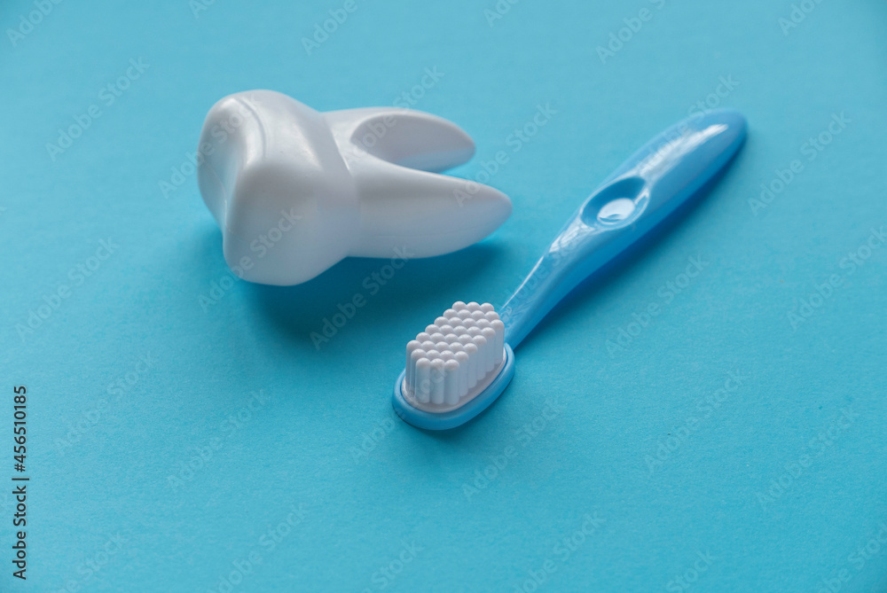 Tooth model with toothbrush on blue background. Healthy teeth concept. Tooth model with toothbrush on blue background. Healthy teeth concept.