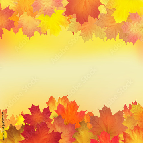 Red  orange  brown and yellow autumn leaves. Vector