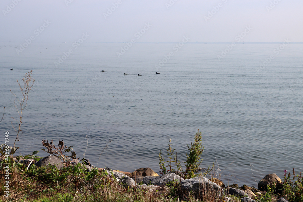 North sea panoramic photo. Calm water, blue sky. Nature of the Netherlands. North sea panoramic photo. Calm water, blue sky. Nature of the Netherlands.