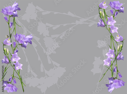 lilac bellflowers with shadows on grey