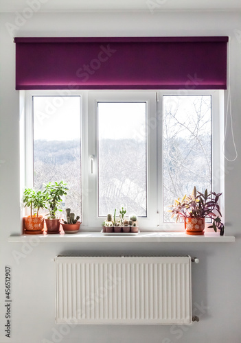 Φωτογραφία Window with purple roller blind and home plants in flowerpots on the windowsill