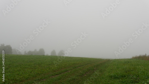 Foggy fields and bushes in front of the forest before the sunrise in the country side. Village life in North-West Russia