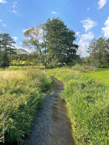 path in the park