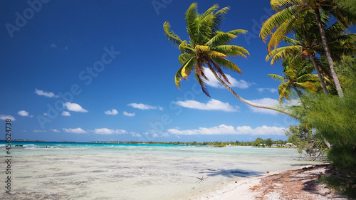 Fototapeta Naklejka Na Ścianę i Meble -  Tikehau ou Tikahau ou Porutu-kai est un atoll situé dans le sous-groupe des Îles Palliser dans l'archipel des Tuamotu en Polynésie française.