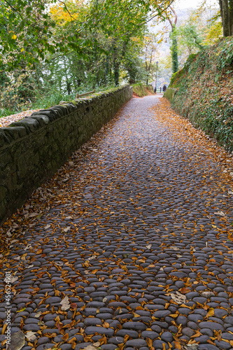 Autumn rustic stone path with yellow fallen leaves in the United Kingdom