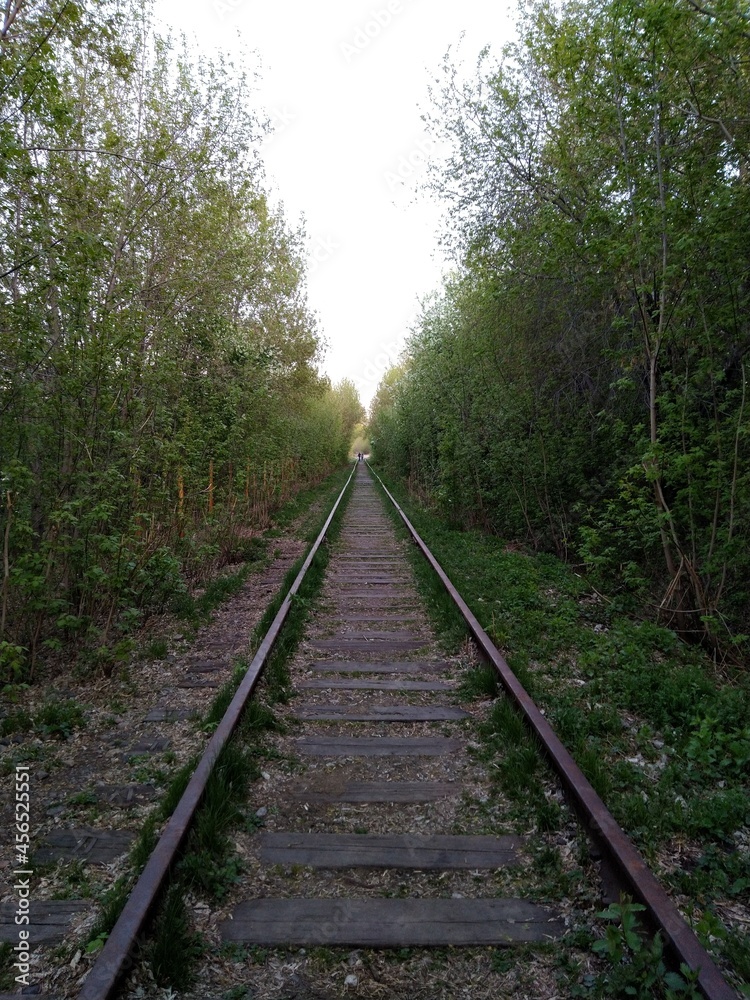 railway in the forest