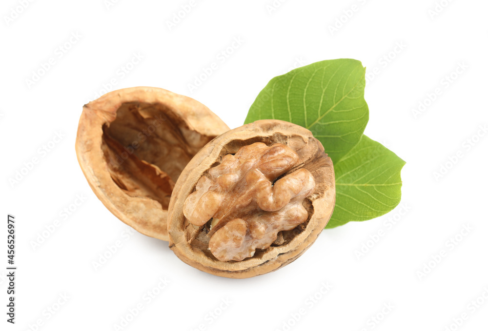 Fresh ripe walnuts with leaves on white background Fresh ripe walnuts with leaves on white background