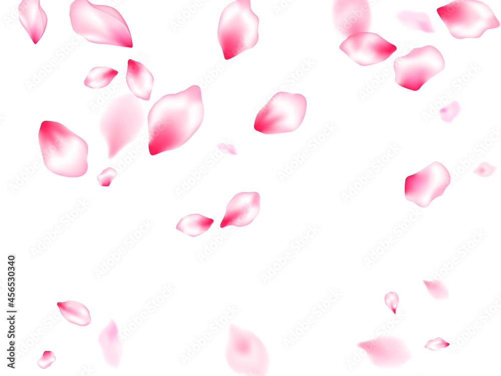 Spring tree flowers parts, airy flying petals Spring tree flowers parts, airy flying petals