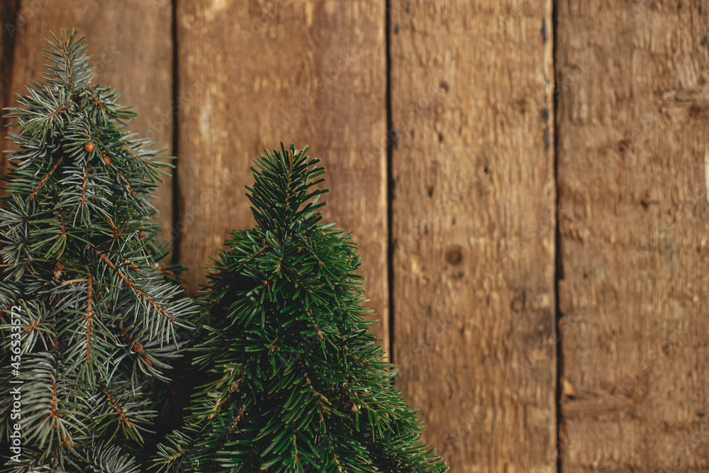 Stylish christmas trees on rustic old wooden background. Space for text. Season's greeting card. Holiday advent. Handmade little pine trees decor. Merry Christmas! Stylish christmas trees on rustic old wooden background. Space for text. Season's greeting card. Holiday advent. Handmade little pine trees decor. Merry Christmas!