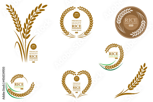 rice award on white background vector design