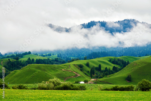 Forests on the Meadows cloudily in valley grassland scenic spot of Nalati, Xinjiang Uygur Autonomous Region, China. photo