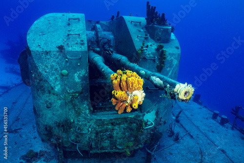 The stern guns on a shipwreck in Cayman Brac. The wreckage has attracted growth of sponge and coral in which fish live photo