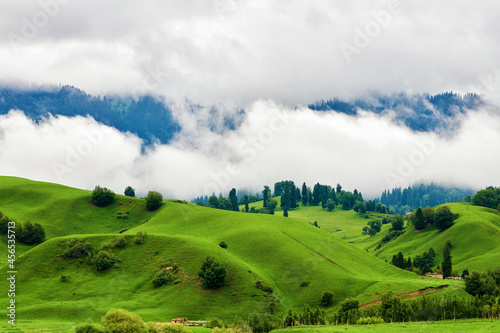 Forests on the Meadows cloudily in valley grassland scenic spot of Nalati, Xinjiang Uygur Autonomous Region, China.