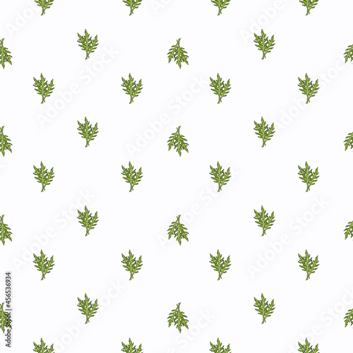 Seamless pattern bunch arugula salad on white background. Minimalistic ornament with lettuce.