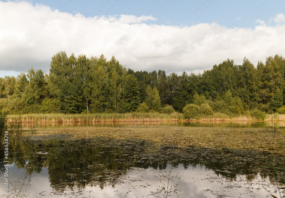 Central Russia. Little lake and forest in Noginsk areа, Moscow region. Symmetric reflections in water Central Russia. Little lake and forest in Noginsk areа, Moscow region. Symmetric reflections in water