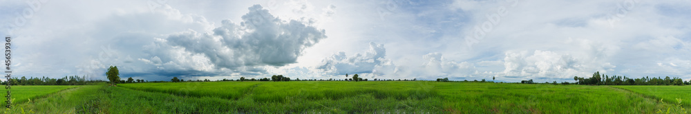 Clouds over green rice fields