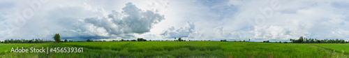Clouds over green rice fields