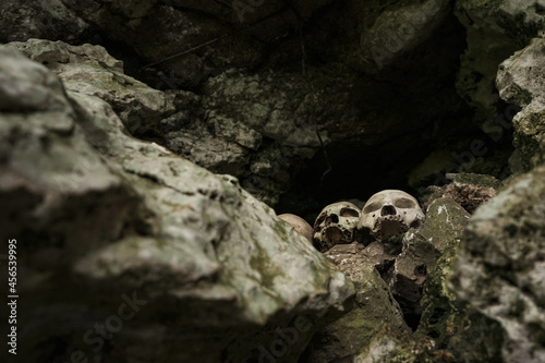 Skulls on the stone