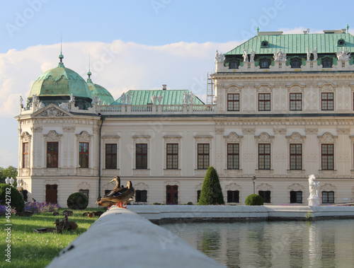 Photography group of ducks in the centre of vienna