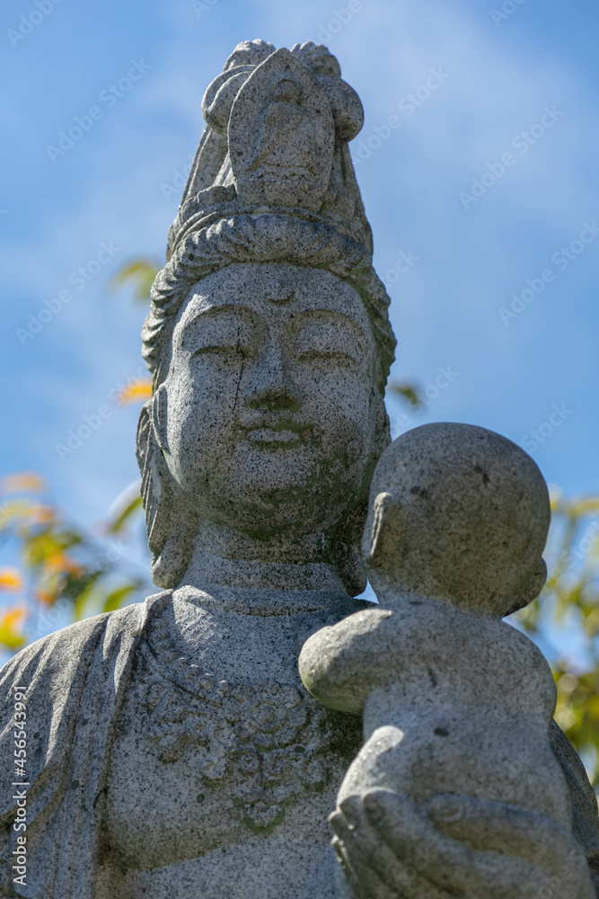 菊泉院 菊泉院