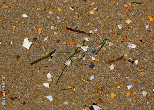 garbage on the seashore photo