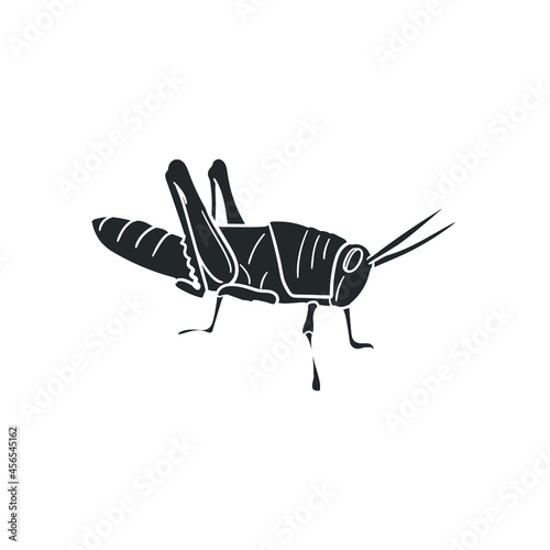 Grasshopper Icon Silhouette Illustration. Bug Insect Vector Graphic Pictogram Symbol Clip Art. Doodle Sketch Black Sign. photo