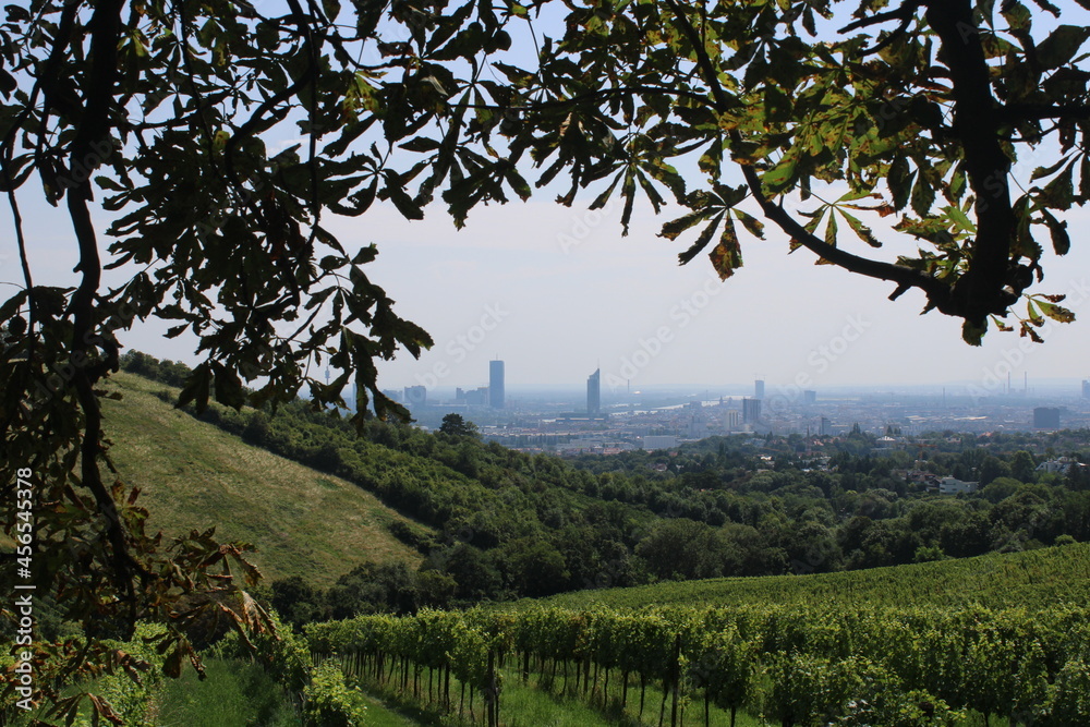 most beautiful view on the vienna cityscape