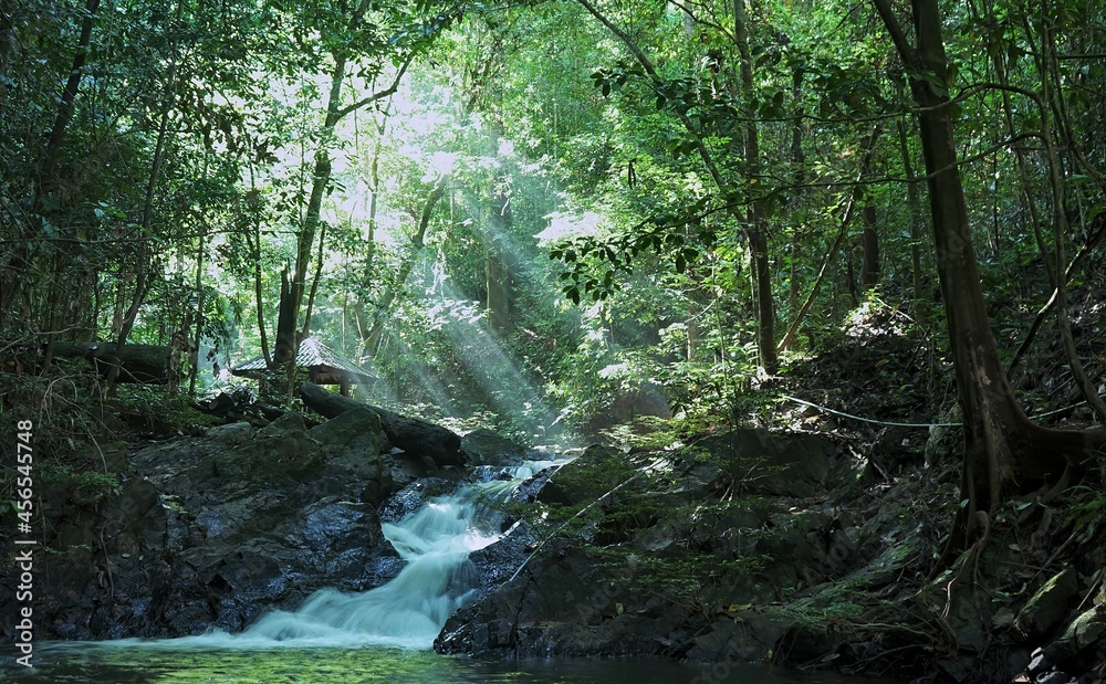 Obraz premium waterfall in the forest