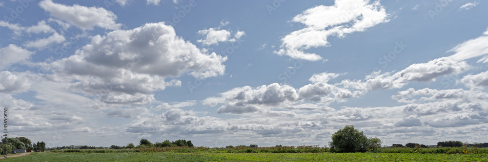 Blue sky with white fluffy clouds over green field