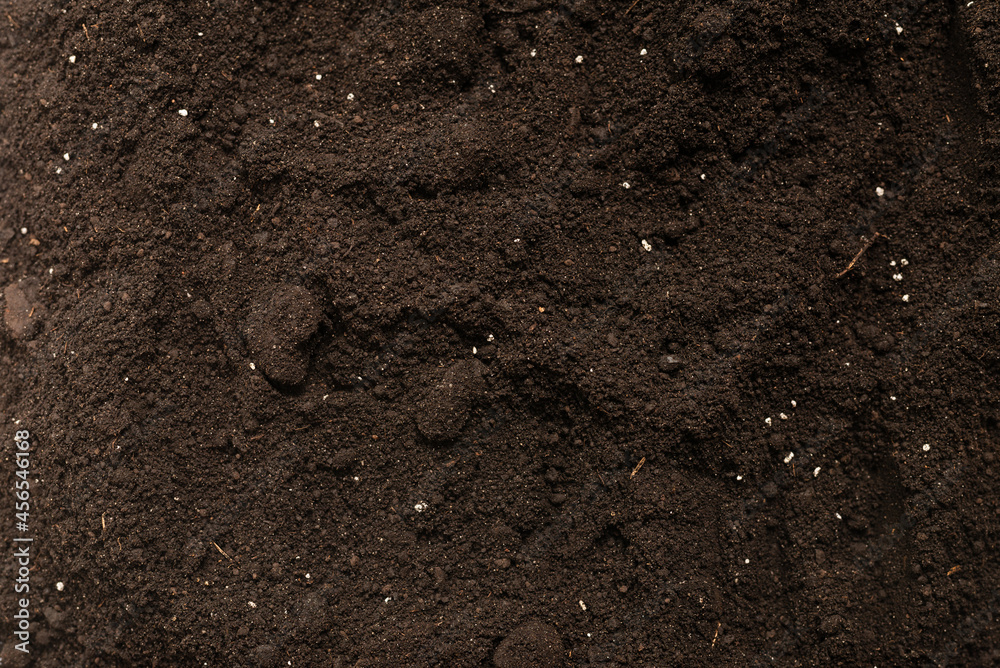 Black land for plant background. Top view. Black land for plant background. Top view.