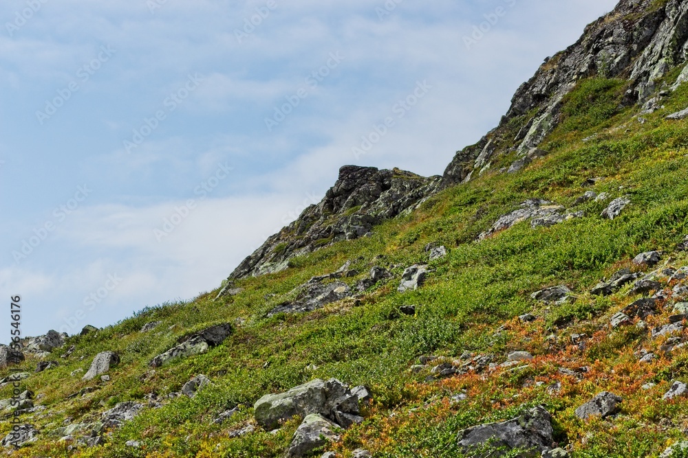 The slope of the summit of Ånnfjället in northern Sweden